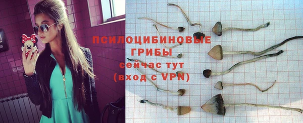 амфетамин Белокуриха