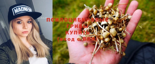 первитин Беломорск