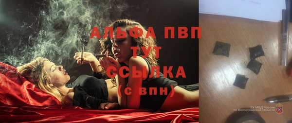 PSILOCYBIN Струнино