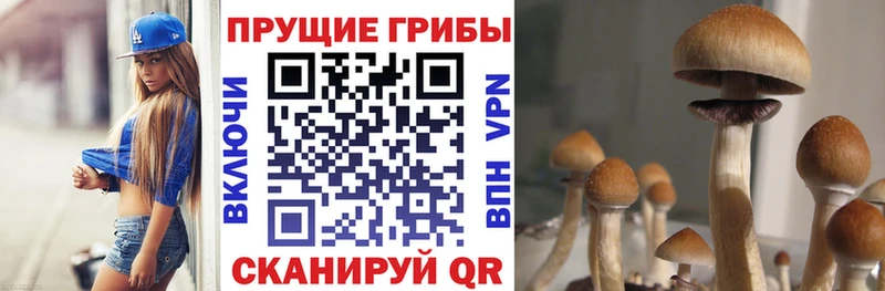 Галлюциногенные грибы мицелий  Губкинский 