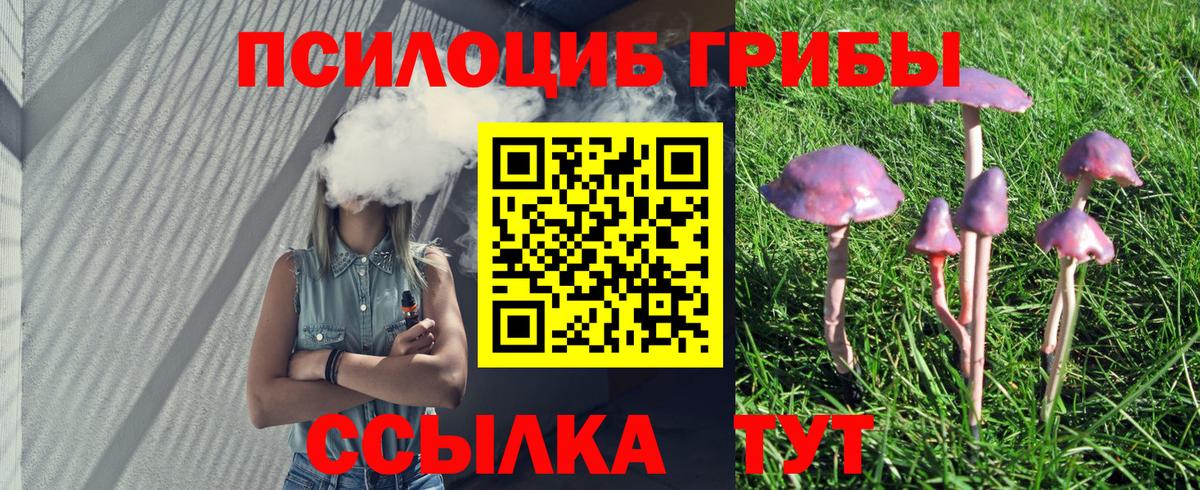 Губкинский  Псилоцибиновые грибы Psilocybine cubensis  Вход с VPN 