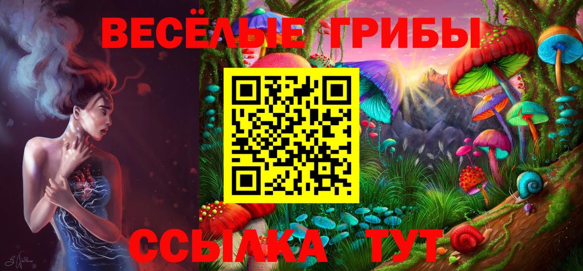 Галлюциногенные грибы GOLDEN TEACHER Губкинский
