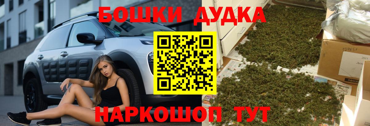 Конопля OG Kush Губкинский