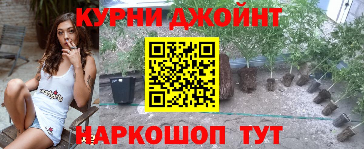 МАРИХУАНА семена  Вход с VPN  Губкинский  Шишки марихуана гибрид 
